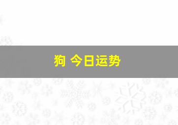 狗 今日运势